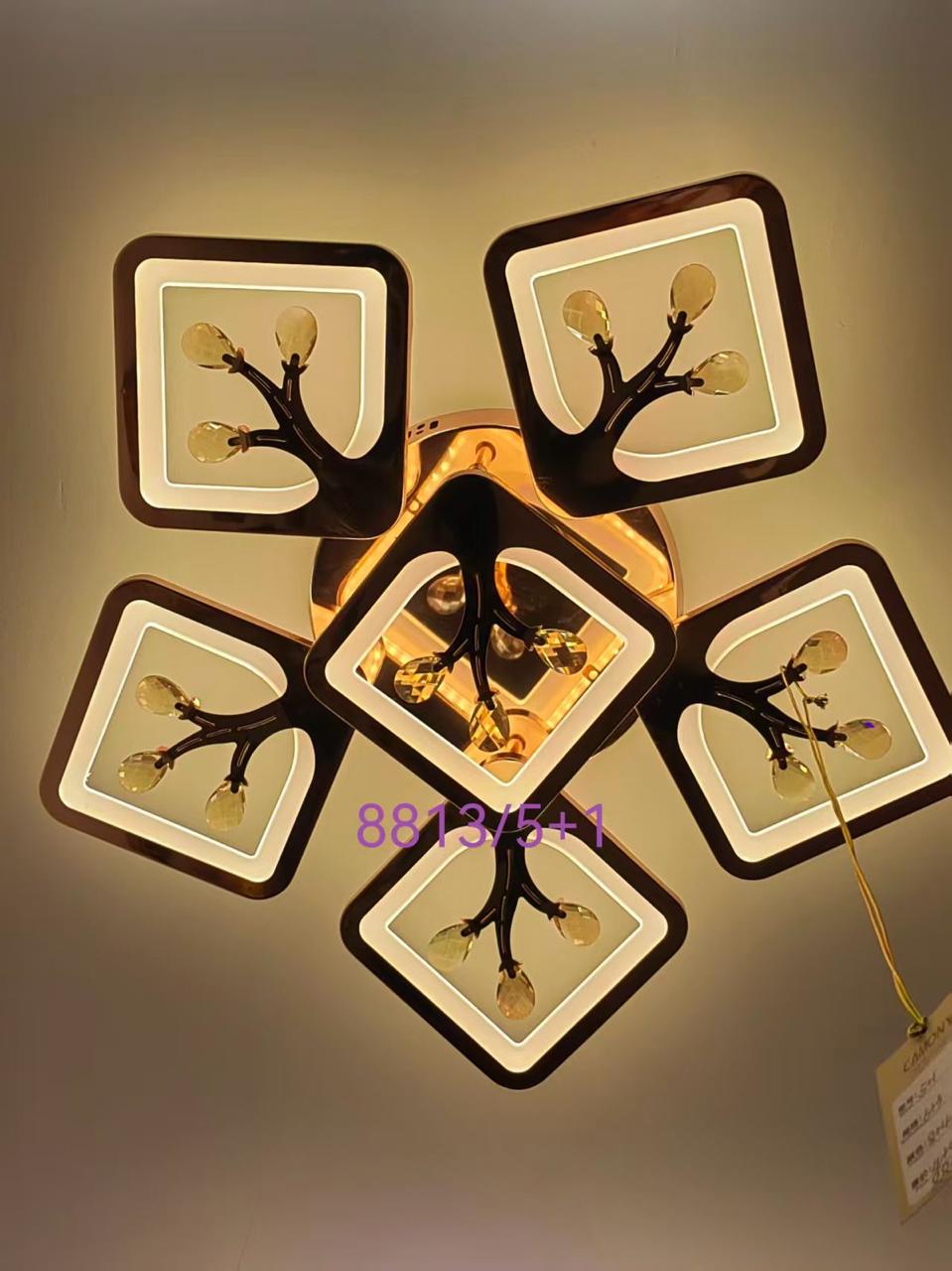 Celling & Wall Light