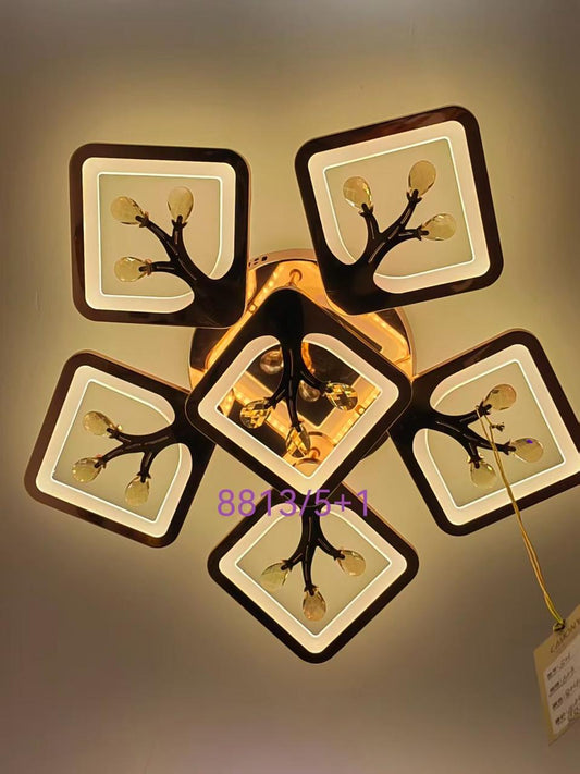 Celling &  Wall Light