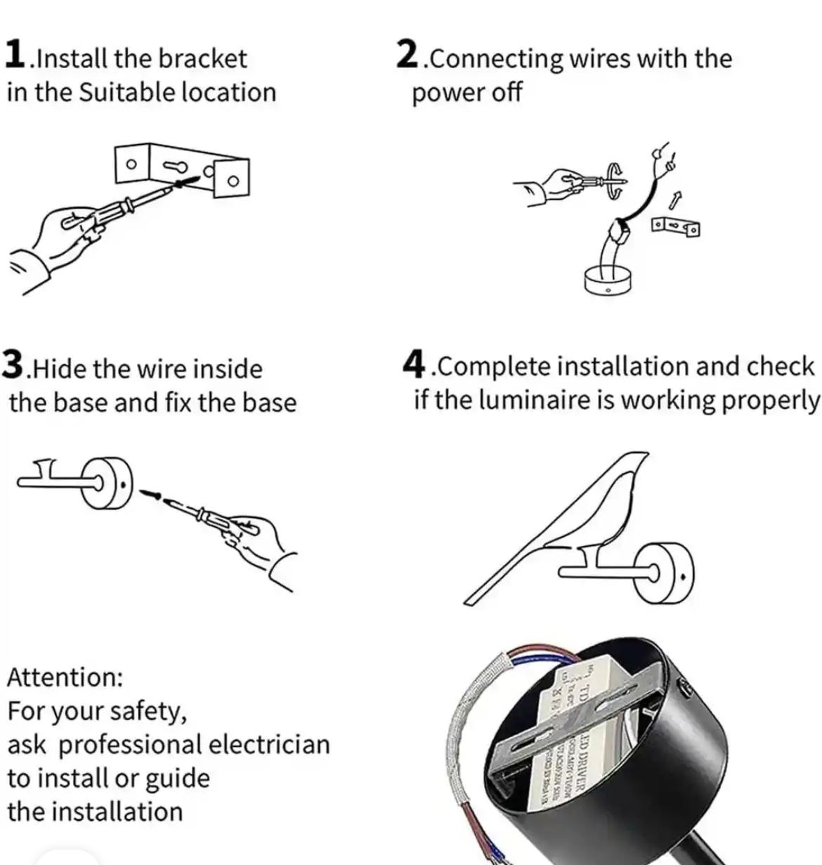 Bird  try colour wall light